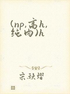 (np,高h,纯肉)h封面