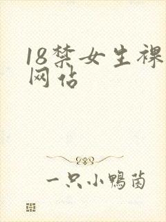18禁女生裸体网站封面
