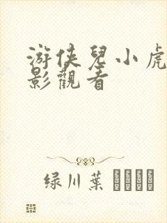 游侠儿小虎队电影观看封面