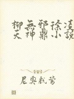 柳无邪徐凌雪吞天神鼎小说在线阅读