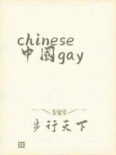 chinese中国gay