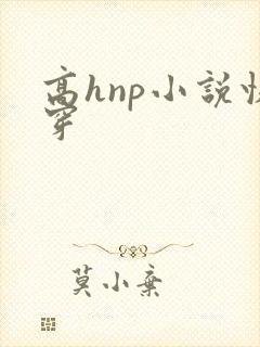 高hnp小说快穿