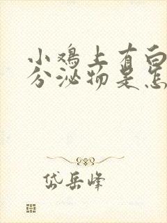 小鸡上有白色的分泌物是怎么回事