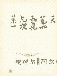 叶凡和荒天帝第一次见面