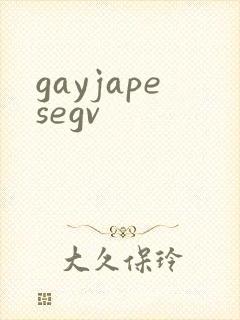 gayjapesegv