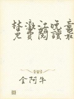 林澈江晚意全文免费阅读最新章节封面