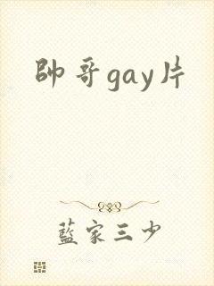 帅哥gay片