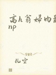 高h翁妇肉乱文np封面
