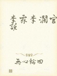 李霖李澜官场小说