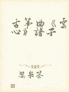 古筝曲《云水禅心》谱子