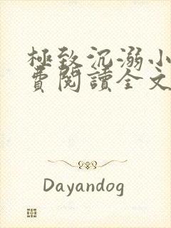 极致沉溺小说免费阅读全文无弹窗