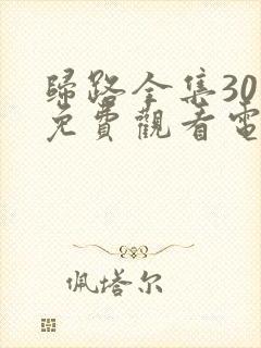 归路全集30集免费观看电视剧封面