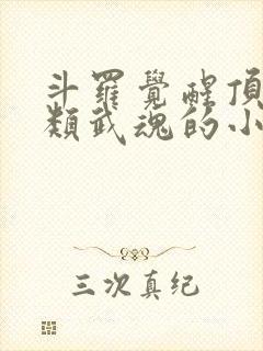 斗罗觉醒顶级剑类武魂的小说封面