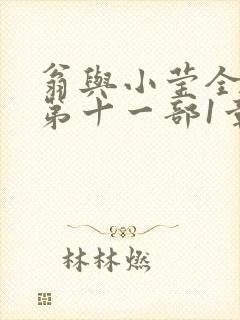 翁与小莹全目录第十一部1章封面