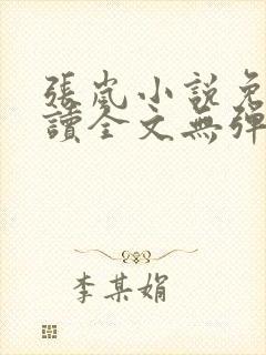 张岚小说免费阅读全文无弹窗