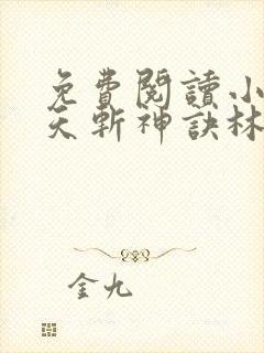 免费阅读小说九天斩神诀林辰封面