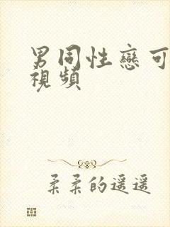 男同性恋可播放视频