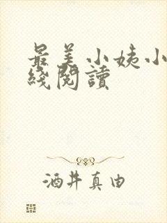 最美小姨小说在线阅读封面