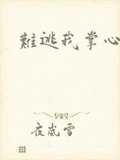 难逃我掌心封面