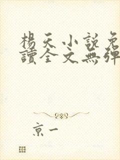 杨天小说免费阅读全文无弹窗封面