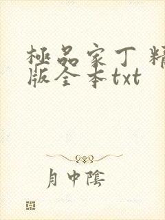极品家丁 精校版全本txt