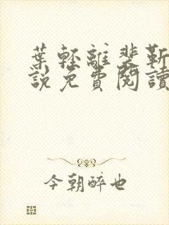 叶轻离裴靳墨小说免费阅读笔趣阁封面