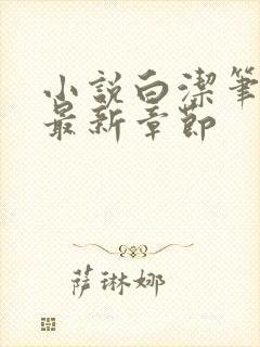 小说白洁笔趣阁最新章节封面