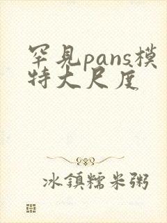 罕见pans模特大尺度封面