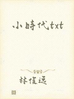 小时代txt封面