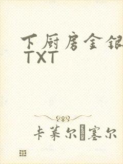 下厨房金银花露 TXT封面