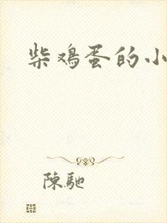 柴鸡蛋的小说