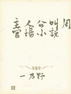 主人公叫周平的官场小说