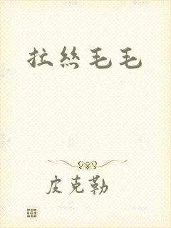 拉丝毛毛封面