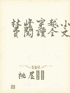 林峰穿越小说免费阅读全文最新章节封面