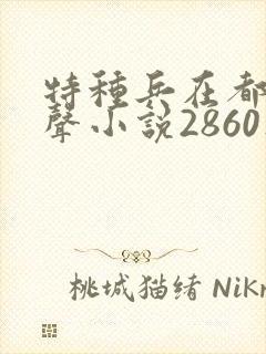 特种兵在都市有声小说2860集麒