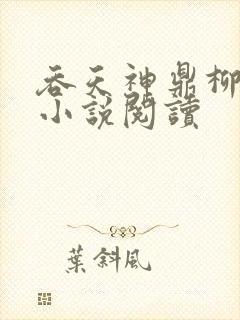 吞天神鼎柳无邪小说阅读封面
