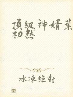 顶级神婿叶辰萧初然