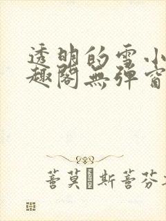 透明的雪小说笔趣阁无弹窗封面