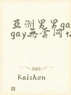 亚洲男男gaygay无套网站