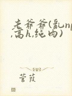 老爷爷(乱np,高h,纯肉)封面