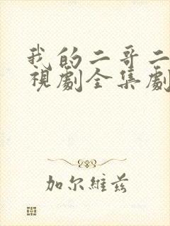 我的二哥二嫂电视剧全集剧情介绍