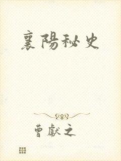 襄阳秘史