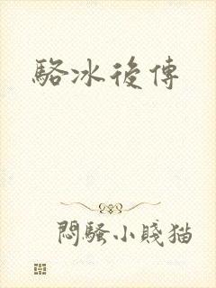 骆冰后传封面
