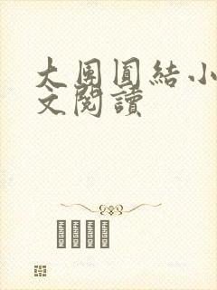 大团圆结小茹全文阅读封面