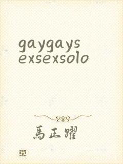 gaygaysexsexsolo