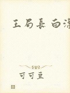 王局长 白洁