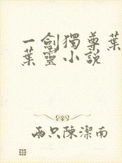 一剑独尊叶玄,叶灵小说封面