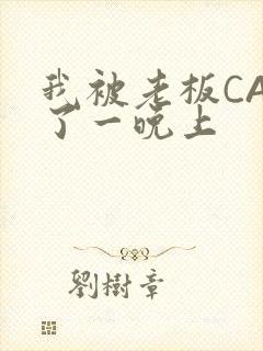 我被老板CAO了一晚上