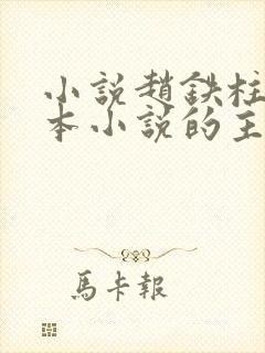 小说赵铁柱是哪本小说的主人公封面