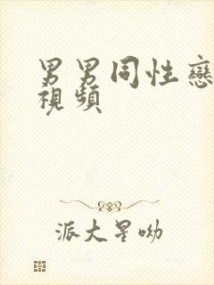 男男同性恋互操视频封面